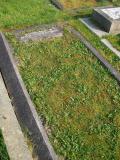 image of grave number 172716